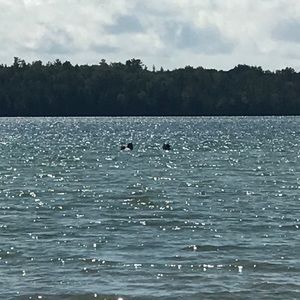 Meet your Posher, Sherri